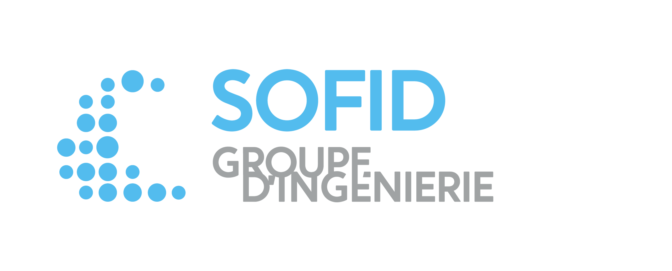 Logo Sofid