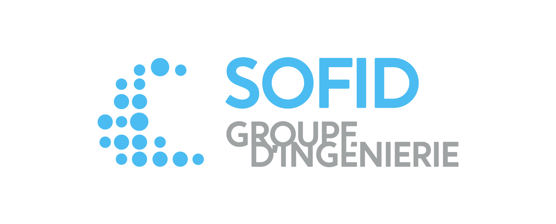 Logo sofid